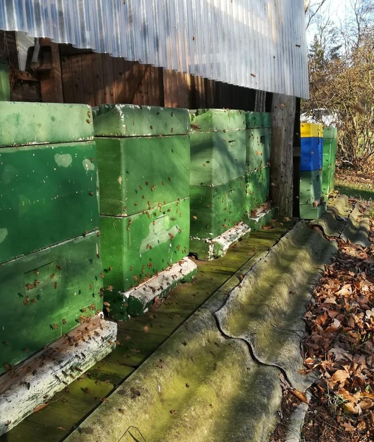 Ferienwohnung Wiesenweg Bad Bederkesa Eksteriør bilde