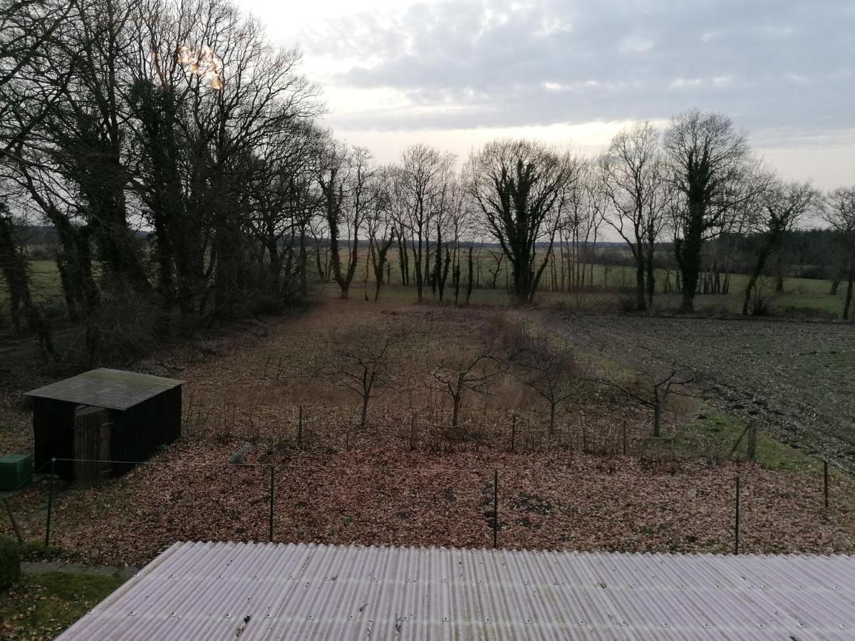 Ferienwohnung Wiesenweg Bad Bederkesa Eksteriør bilde